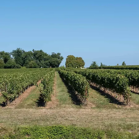 Nocleg ze śniadaniem L'ilot Vignes