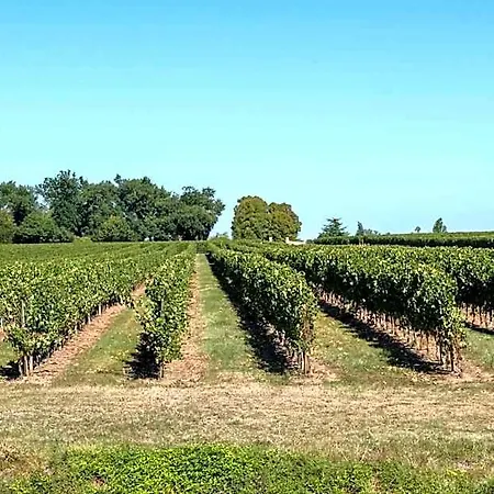 L'ilot Vignes 4* Rauzan