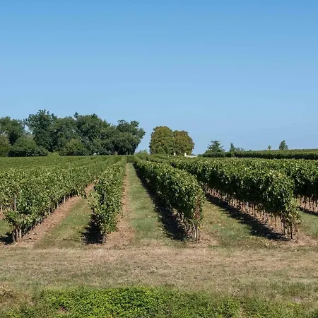 L'ilot Vignes Bed & Breakfast Rauzan