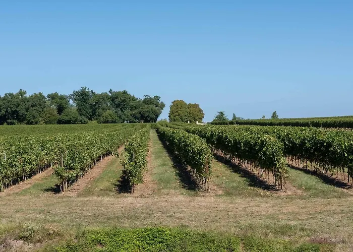 L'ilot Vignes Bed & Breakfast Rauzan